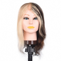 Queen hair female mannequin head for professional hairdressing academy